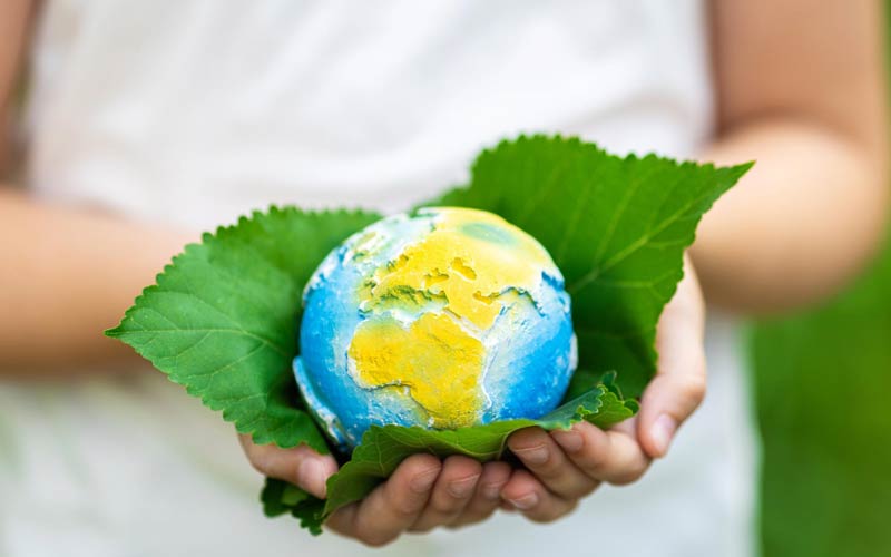 Prowadzenie firmy a ochrona środowiska - jakie obowiązki dla przedsiębiorcy?