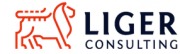 Liger Consulting sp. z o.o.